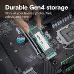 Crucial E100 480GB NVMe Gen4 SSD - Image 2